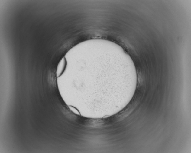 X0000110860719200907161356