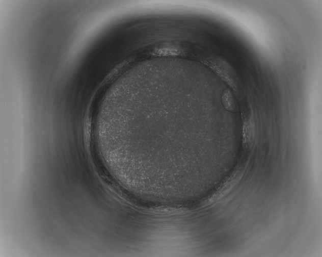 X0000110860722200907161356
