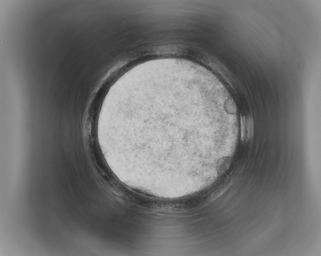 X0000110860723200907161356
