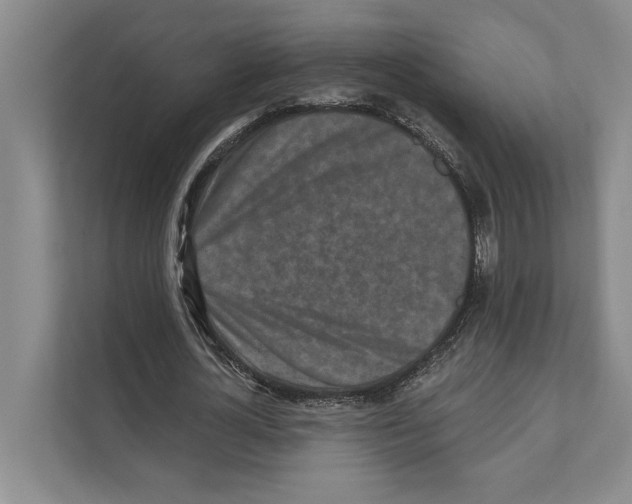 X0000110860724200907161356