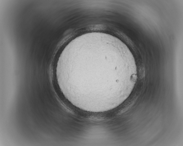 X0000110860725200907161356