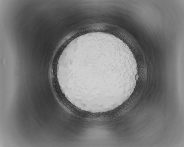 X0000110860726200907161356