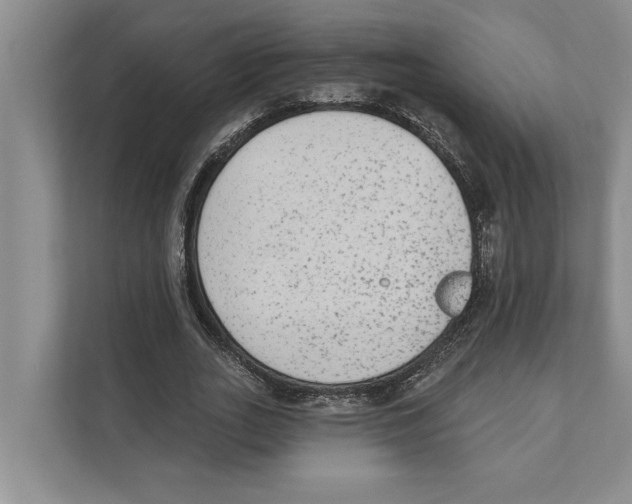 X0000110860727200907161356