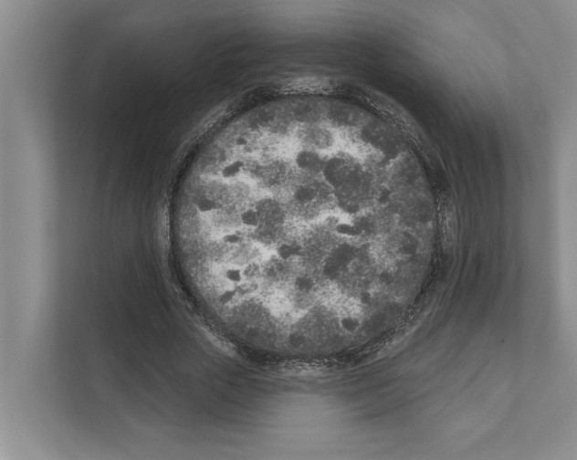 X0000110860729200907161356