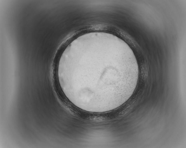 X0000110860730200907161356