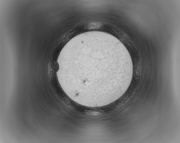 X0000110860743200907161356