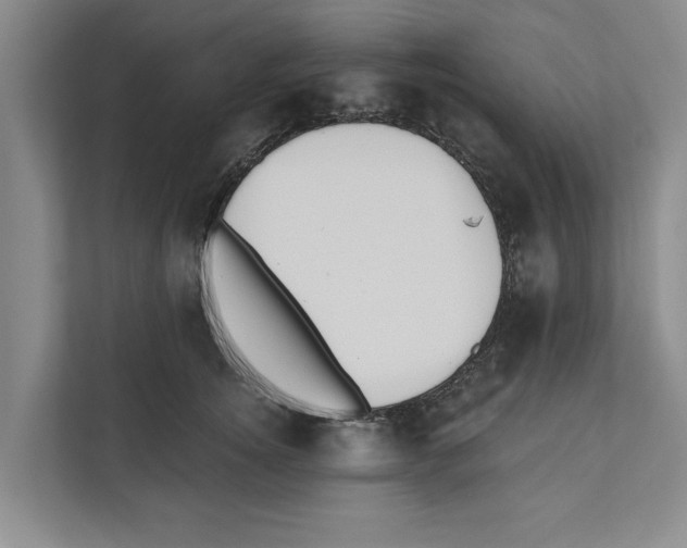 X0000110860756200907161356