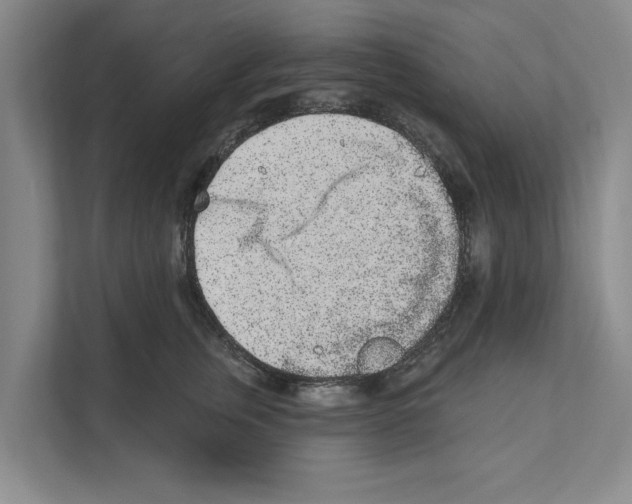 X0000110860759200907161356