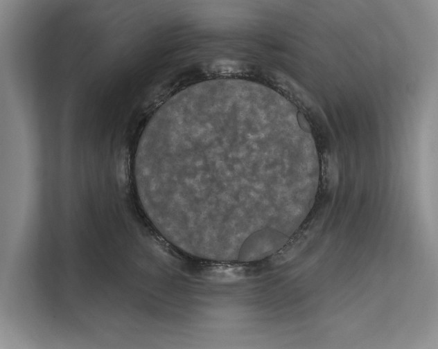 X0000110860760200907161356