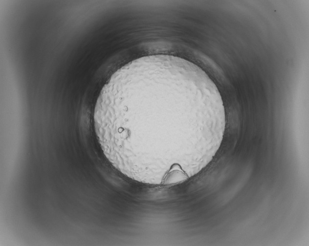 X0000110860761200907161356