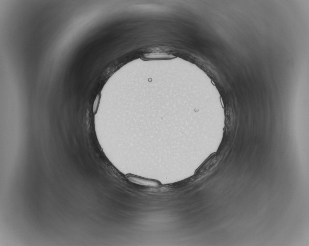 X0000110860762200907161356