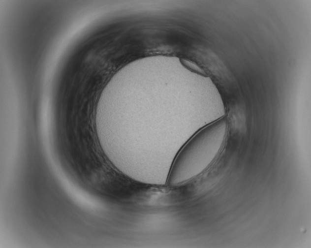 X0000110860764200907161356
