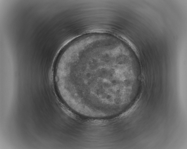 X0000110860779200907161356