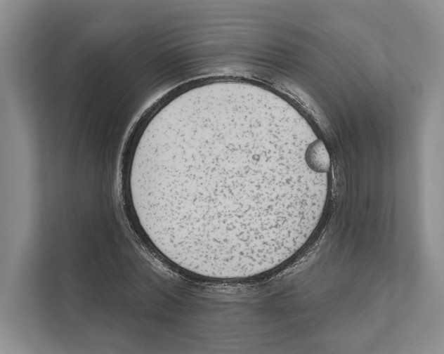 X0000110860780200907161356