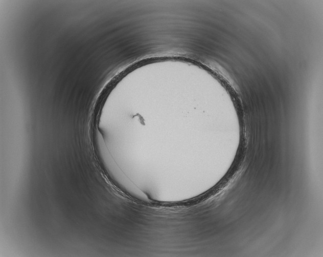 X0000110860781200907161356
