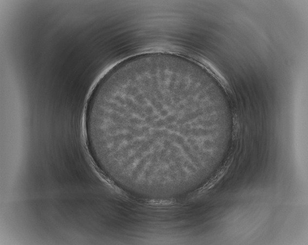 X0000110860788200907161355