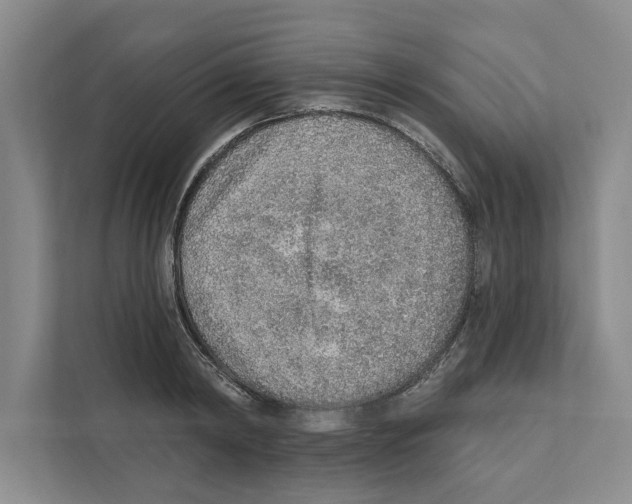 X0000110860798200907161355