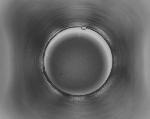 X0000110860802200907161355