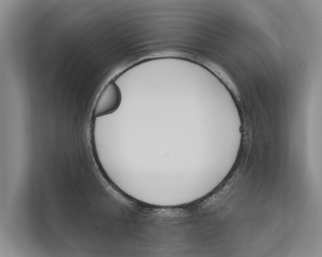 X0000110860805200907161355