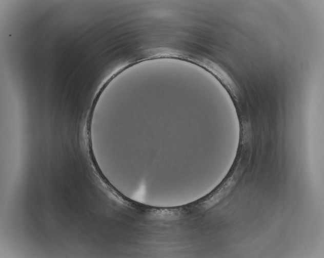 X0000110860806200907161355