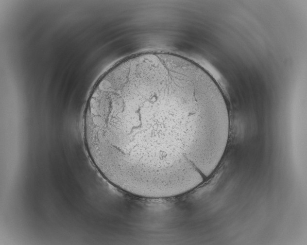 X0000110860807200907161355