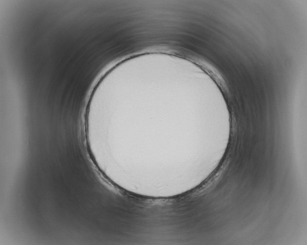 X0000110860808200907161355