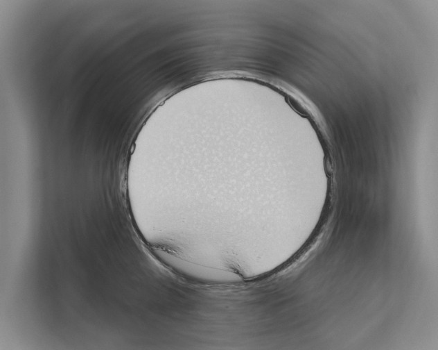 X0000110860809200907161355