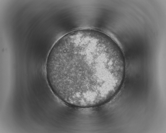 X0000110860810200907161355