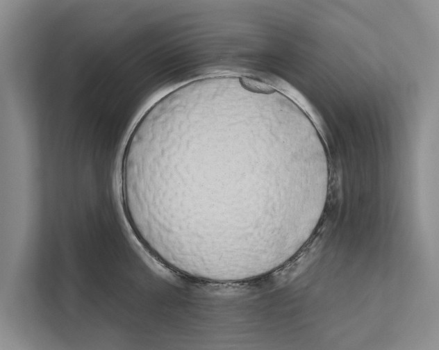 X0000110860811200907161355