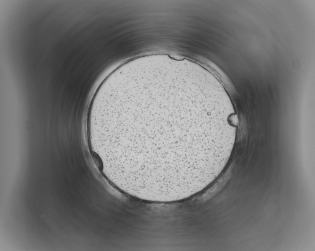 X0000110860812200907161355