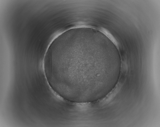 X0000110860813200907161355