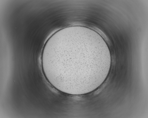 X0000110860814200907161355