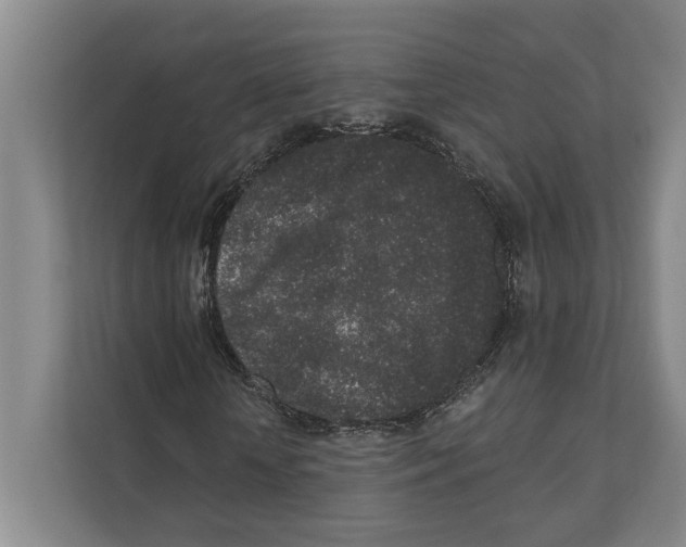 X0000110860818200907161354