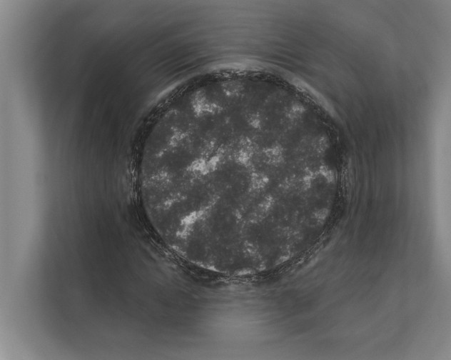 X0000110860822200907161354