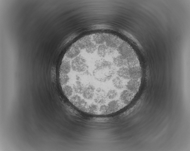 X0000110860825200907161355