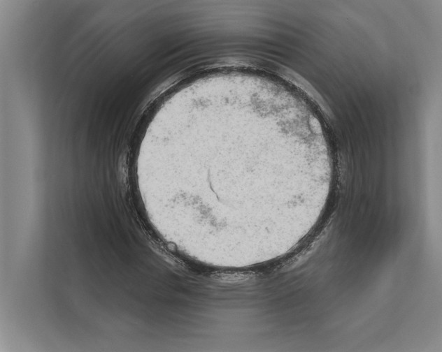 X0000110860826200907161355