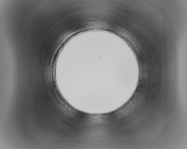 X0000110860828200907161355