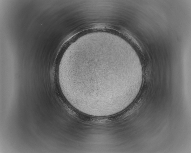 X0000110860831200907161355
