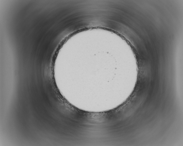 X0000110860832200907161355