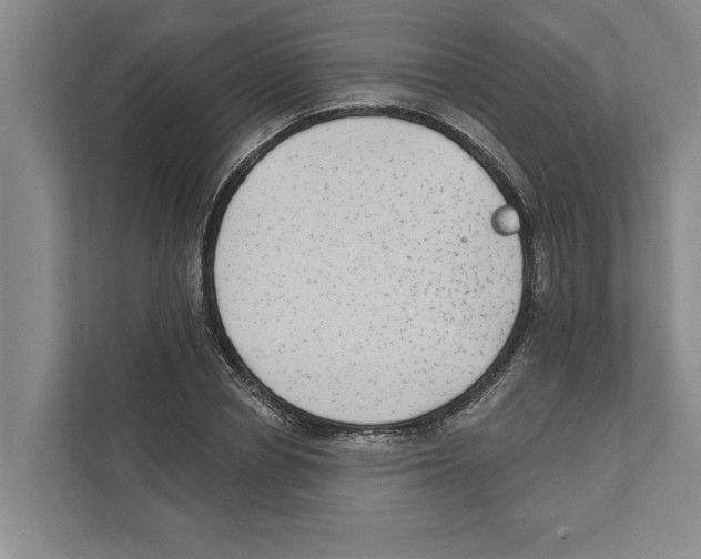 X0000110860834200907161355