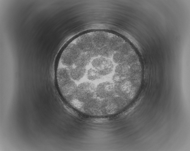 X0000110860837200907161355