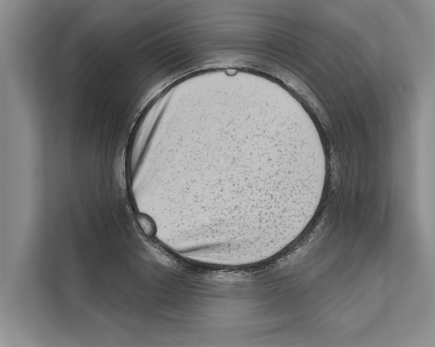 X0000110860842200907161355