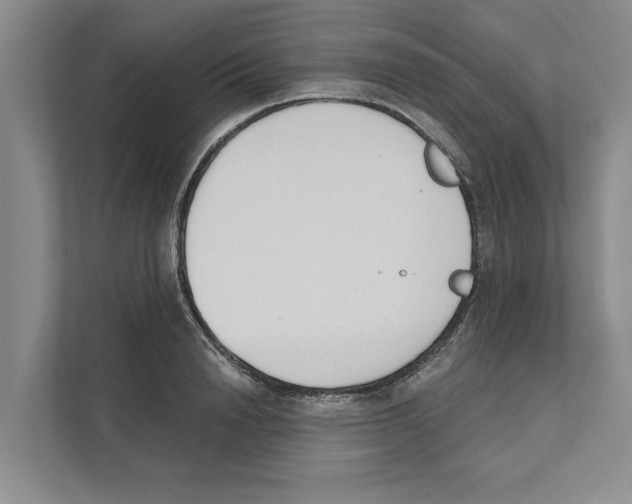 X0000110860846200907161355