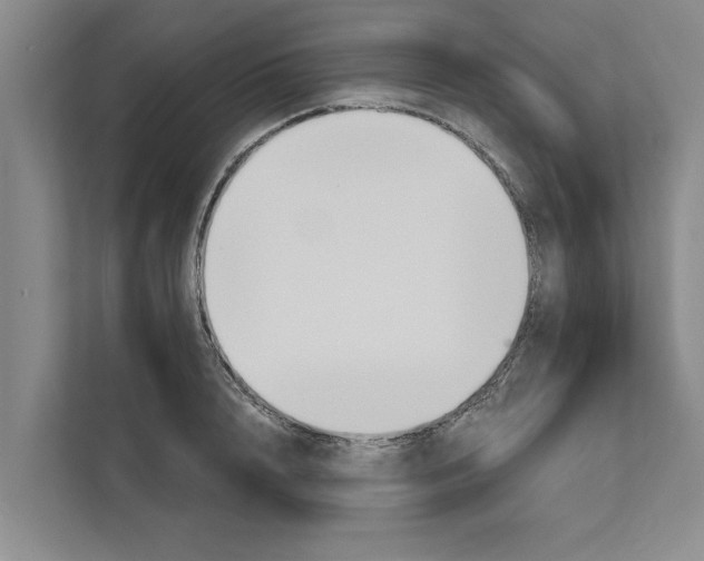 X0000110860848200907161355