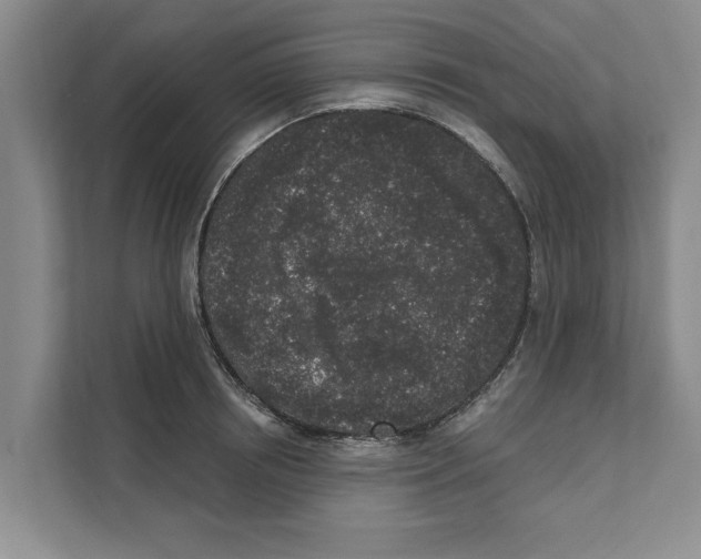 X0000110860850200907161355