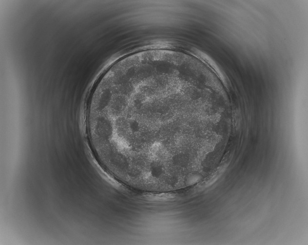X0000110860851200907161355