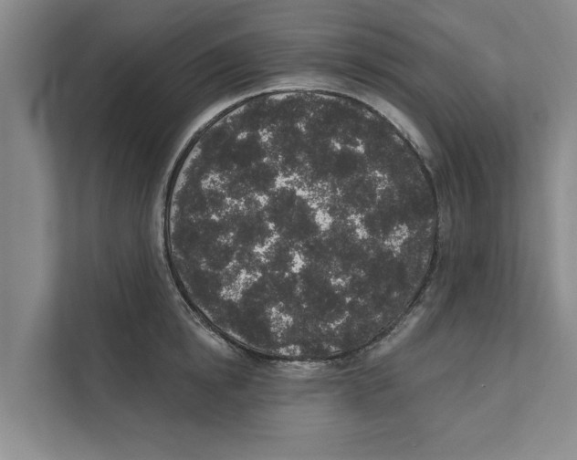 X0000110860854200907161355