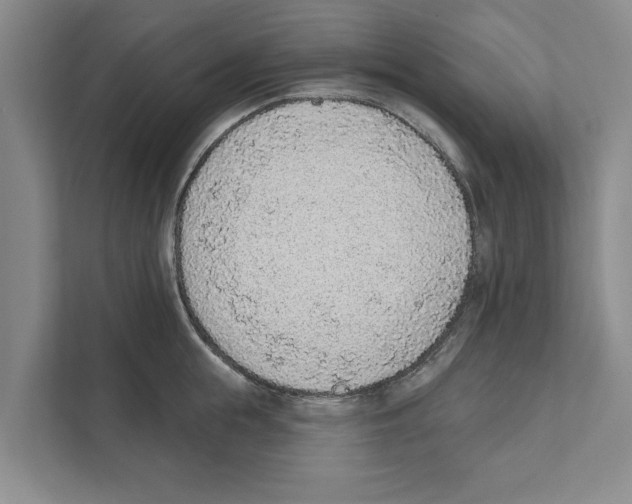 X0000110860855200907161355