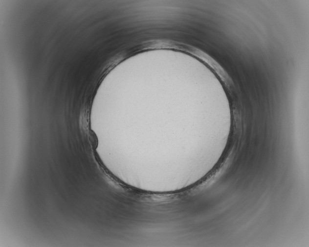 X0000110860857200907161355