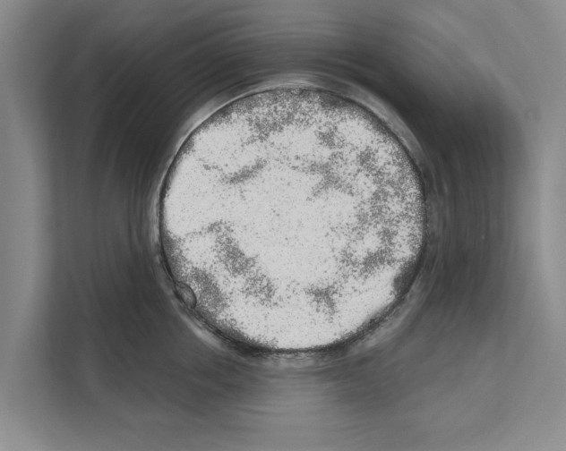 X0000110860858200907161355